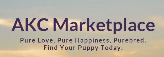 akc puppies marketplace