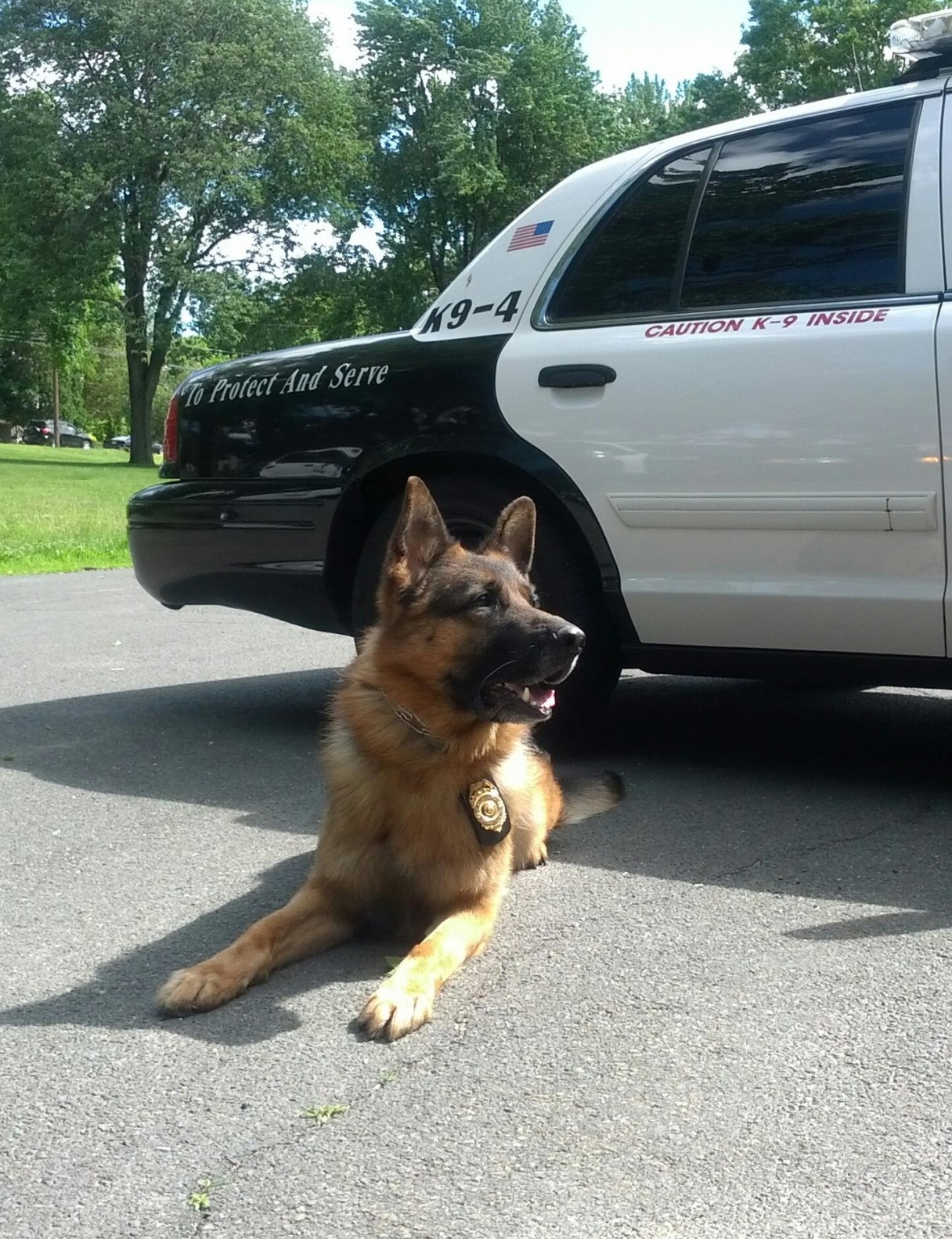 K9 Bravo