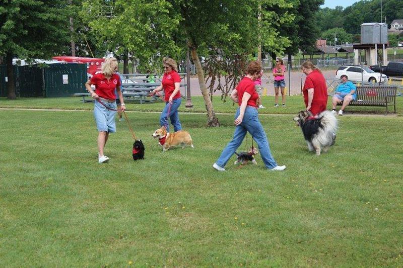 Quincy Kennel Club in the community