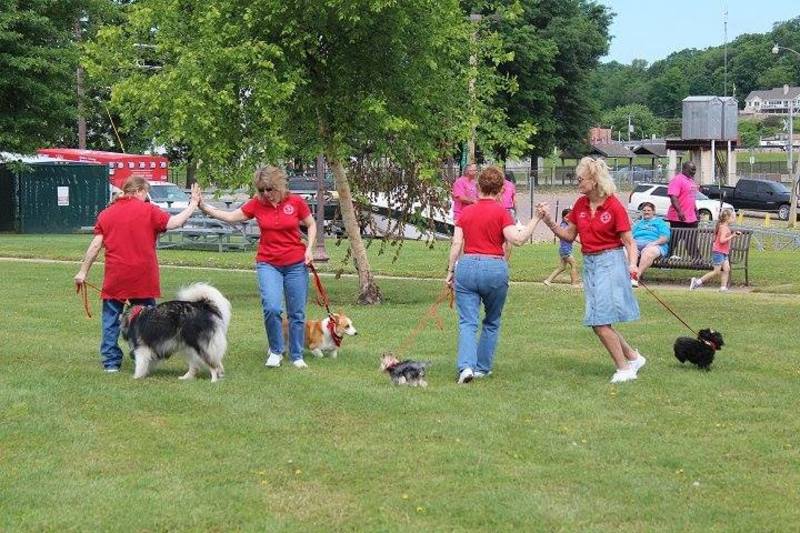 Quincy Kennel Club in the community