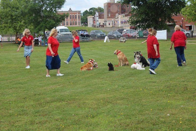 Quincy Kennel Club in the community