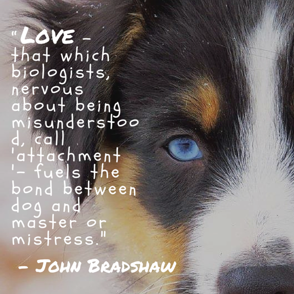 Bradshaw dog quote