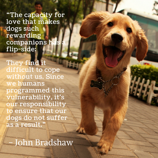 Bradshaw dog quotes