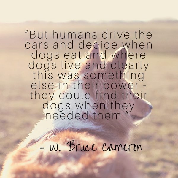 Cameron dog quote