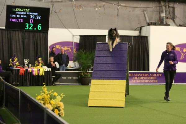 wkc smartie agility