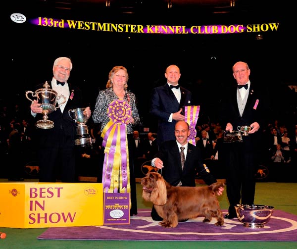 2008 Ch. KRun’s Park Me In First American Kennel Club