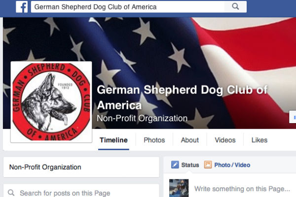 german shepherd facebook