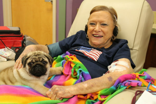 Woman in hospital with Pug therapy dog