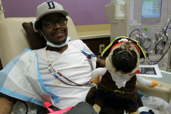 Man in hospital with a Pug therapy dog