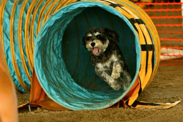 lucy tunnel