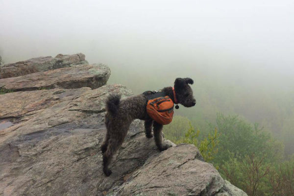 pumi hiking