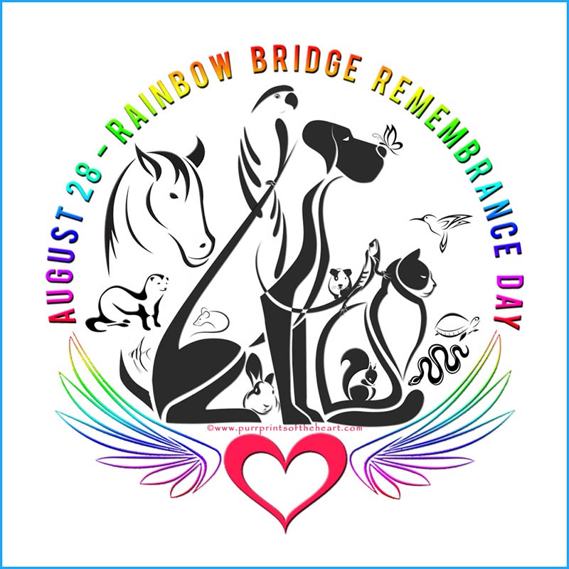 Rainbow Bridge Remembrance Day A Time to Celebrate Dogs We've Lost