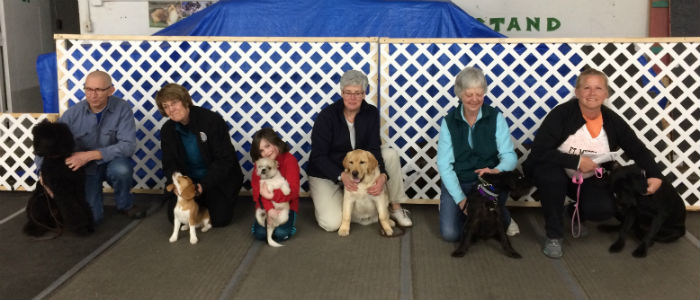 akc star puppy class near me