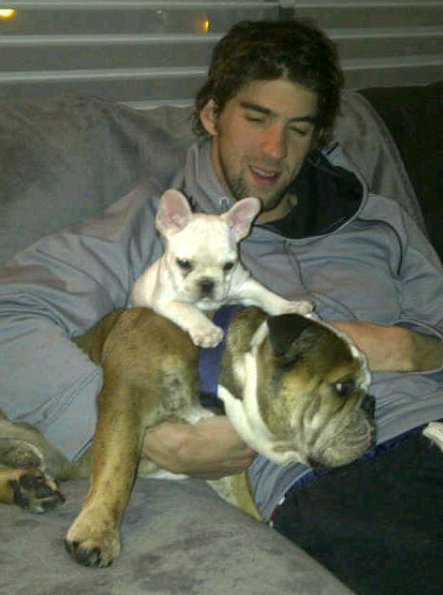 michael phelps and dogs