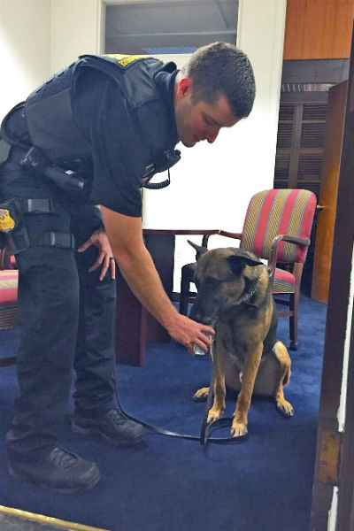 secret service k9