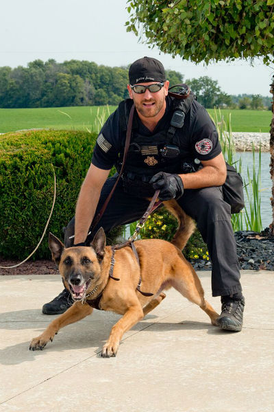 Belgian malinois secret sales service