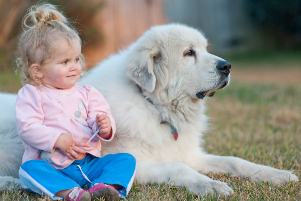 newborn baby and dog