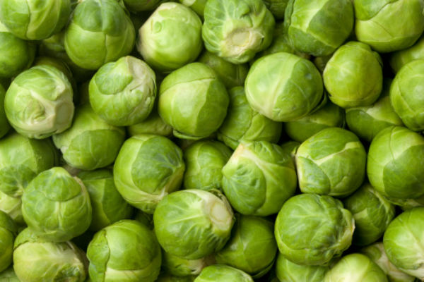 brussel_sprouts_body_image