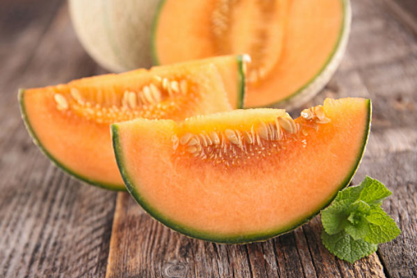 muskmelon good for dogs