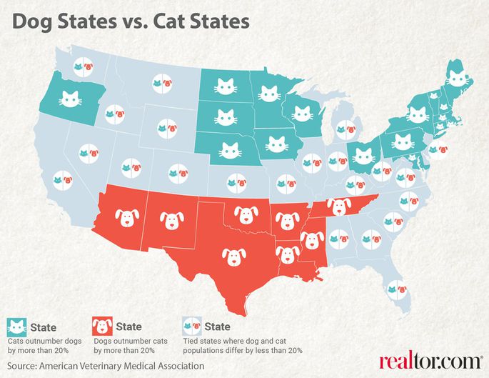 Are Cats or Dogs More Popular in the US?: Pet Supremacy Battle!