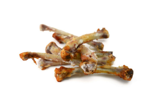 What to do if my 2025 dog ate a chicken bone