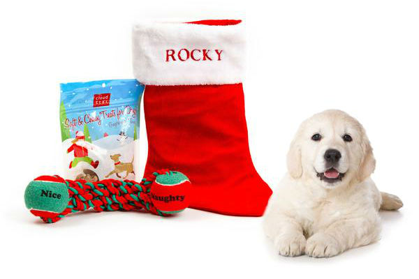 Gifts for 2024 large dogs