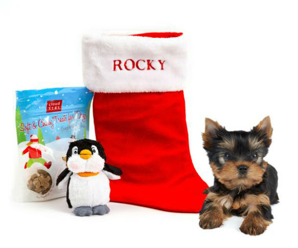 small dog gift pack