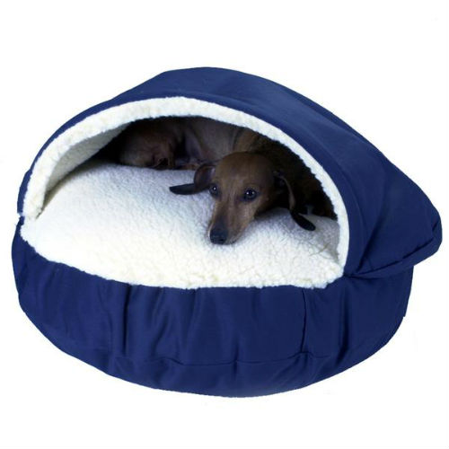 Holiday Gift Guide for Small Dogs 2016 – American Kennel Club