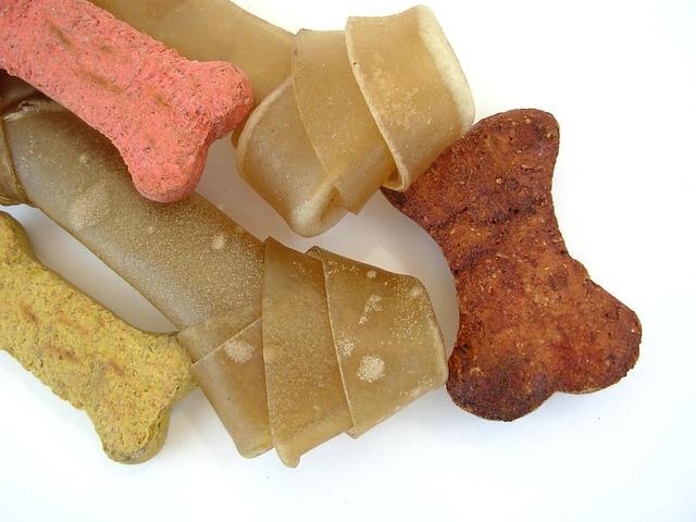 Best Food For Dogs With Sensitive Stomachs