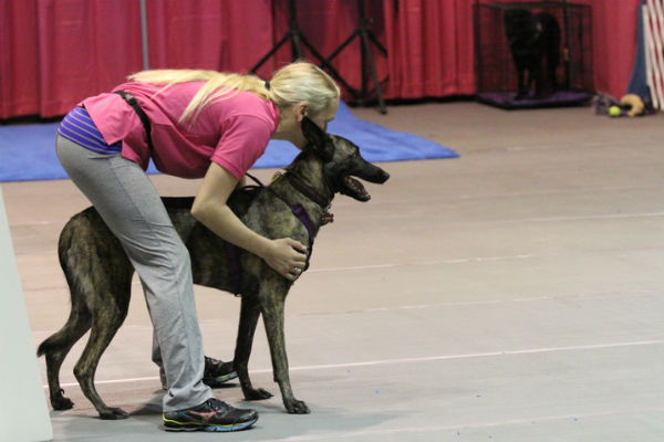 dog and handler