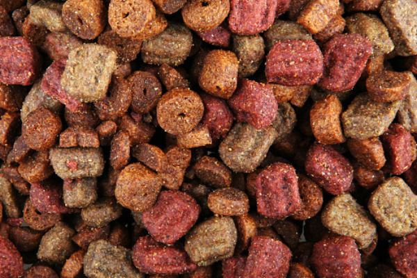 Good high outlet protein dog food