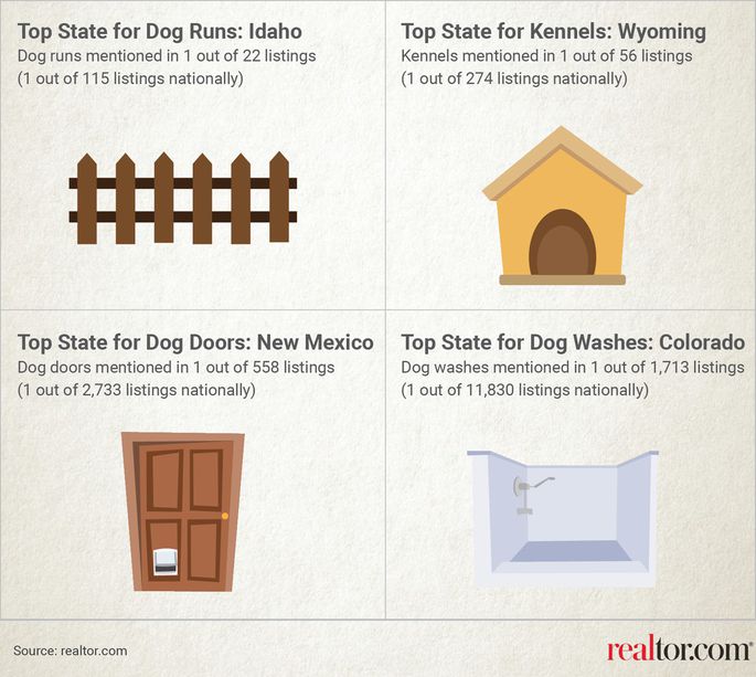 dog_realtor_graphic