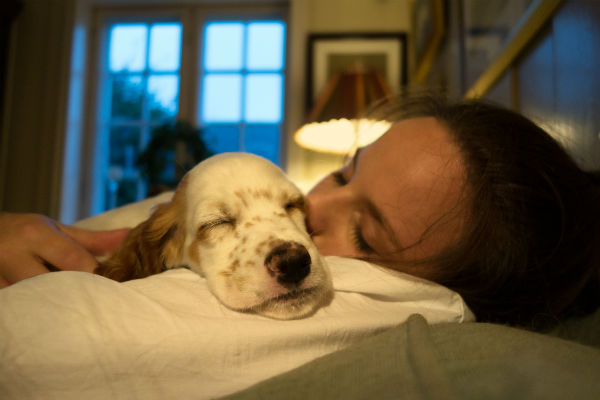 dog sleep with owner