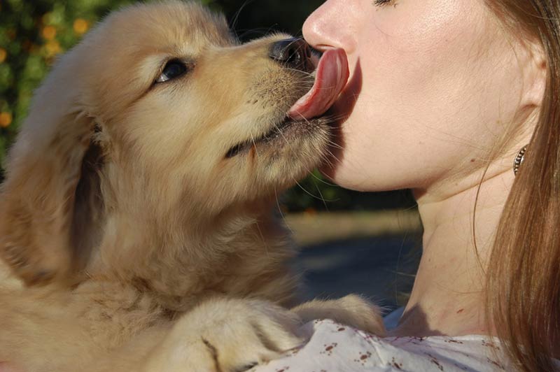 puppy kiss