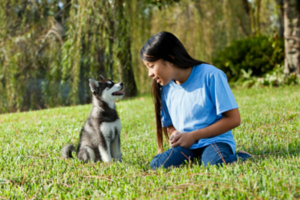 husky_names_body_image_2