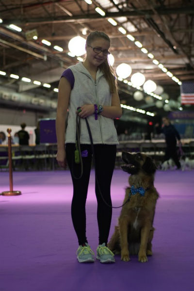 junior handler 2