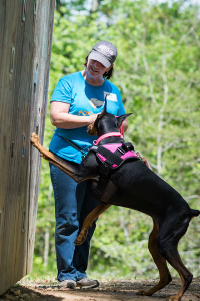 Scent work outlet harness