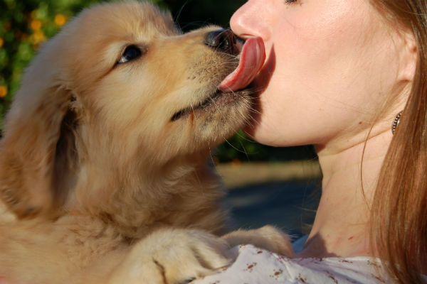 licks