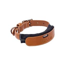 link akc collar