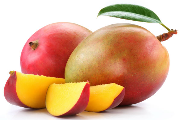 Can Dogs Eat Mango? Are Mangoes Good ...