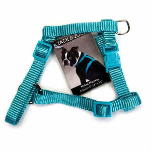 toy dog collar and lead