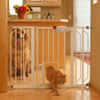 Dog Gates for Every Dog and Any Home 