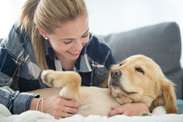 golden retriever lovers