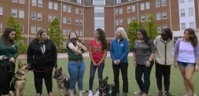 puppy raisers students