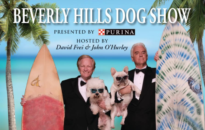 How to Watch the Beverly Hills Dog Show American Kennel Club