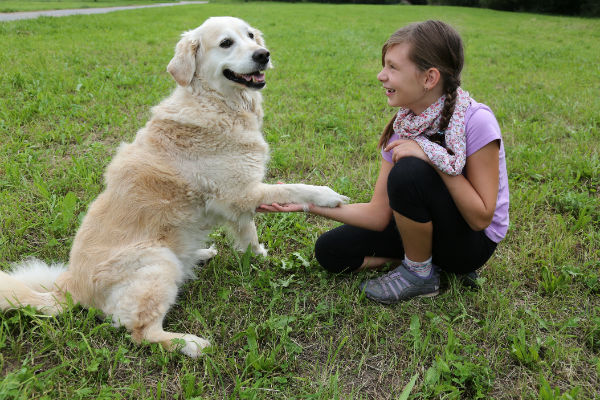 caring for a deaf dog