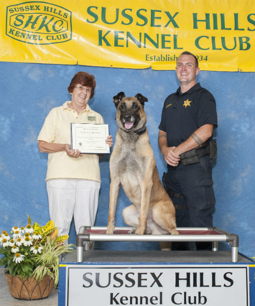 sussex hill k-9