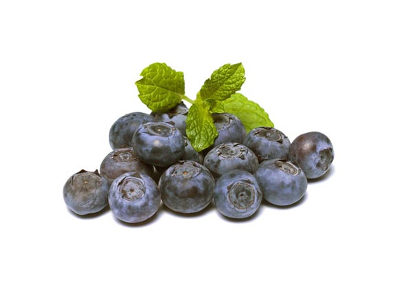 blueberry safe for dogs