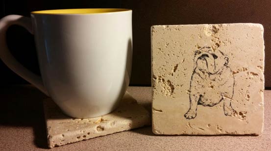 bulldog coasters