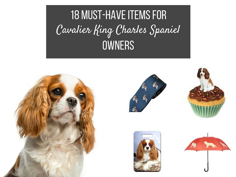 cavalier king charles spaniel gift items